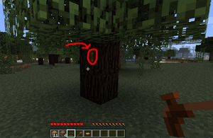 Нахождение Гевеи.png